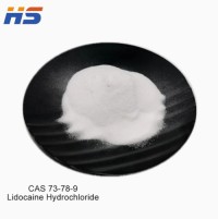 Factory Supply  Lidocaine HCl Hydrochloride Powder high quality 99%  CAS NO.73-78-9
