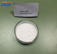 High purity NICOTINAMIDE RIBOSIDE (NR) powder / Food additives /raw material  CAS NO.1341-23-7