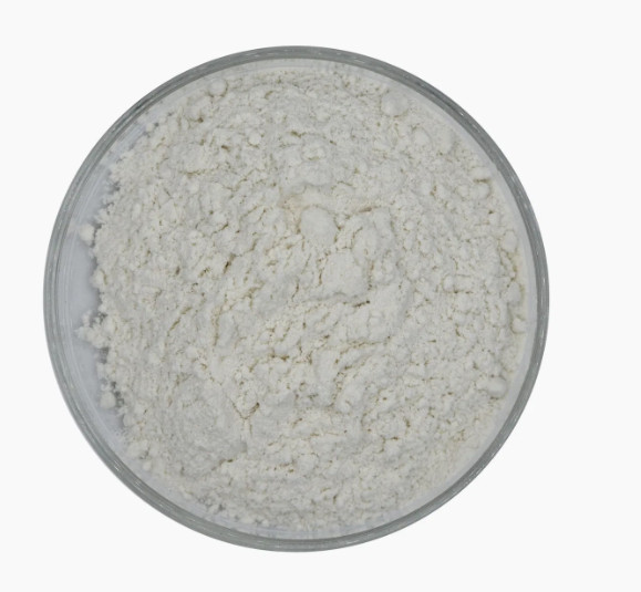 High purity NICOTINAMIDE RIBOSIDE (NR) powder / Food additives /raw material  CAS NO.1341-23-7