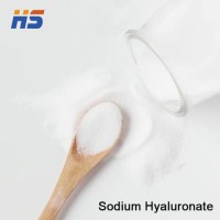 Sodium Hyaluronate Powder Hyaluronic Acid Food Grade CAS No. 9067-32-7 & 9004-61-9  CAS NO.9067-32-7
