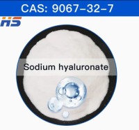 Factory Supply Sodium Hyaluronate / Hyaluronic Acid for Cosmetic and medical grade  CAS NO.9067-32-7