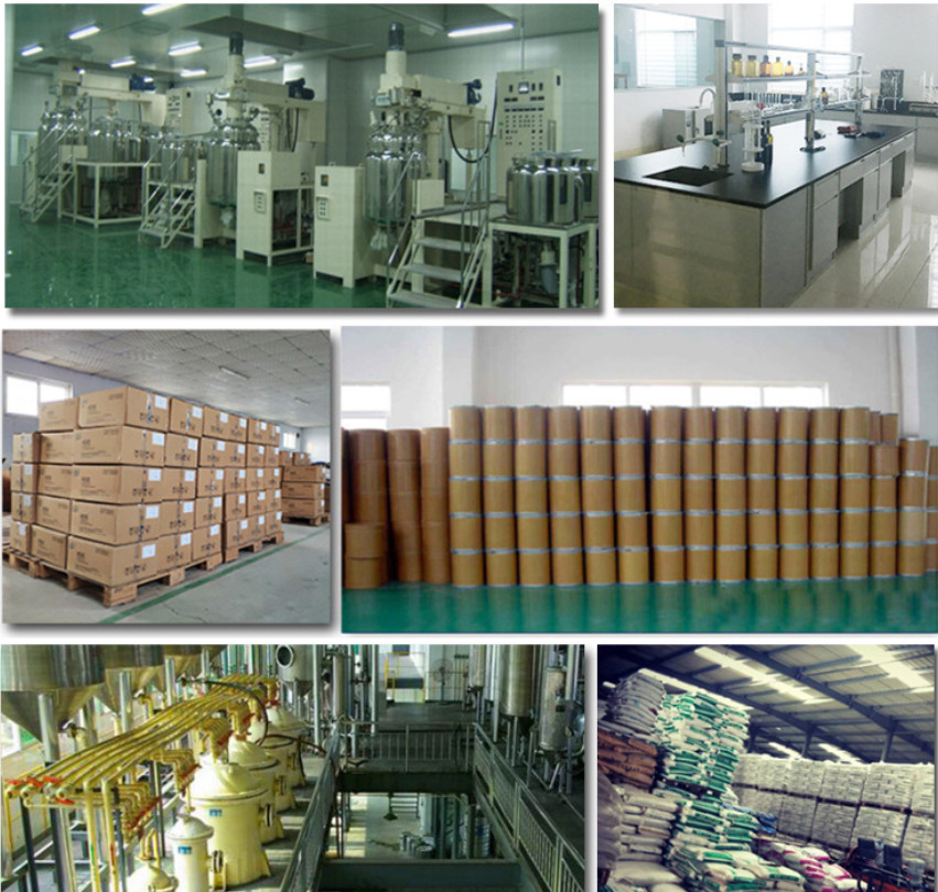 Professional Supplier sells 2-Phenylethylamine hydrochloride CAS 156-28-5  CAS NO.156-28-5