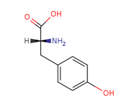 D-Tyr-OH  CAS NO.556-02-5